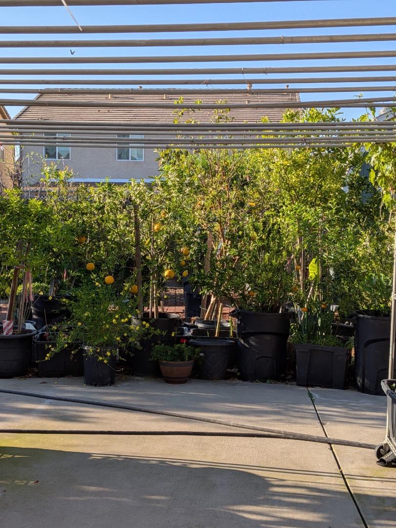 Detail Gallery Image 15 of 15 For 2517 Jayden Way, Stockton,  CA 95212 - 4 Beds | 2/1 Baths