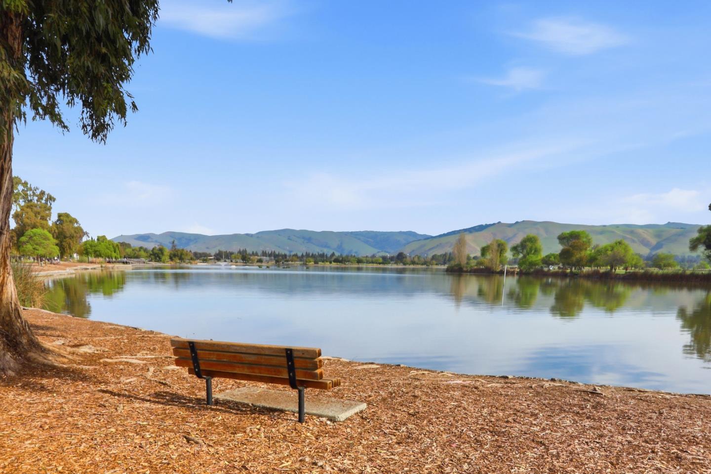 Detail Gallery Image 66 of 67 For 1007 Vardin Ter, Fremont,  CA 94536 - 3 Beds | 2/1 Baths