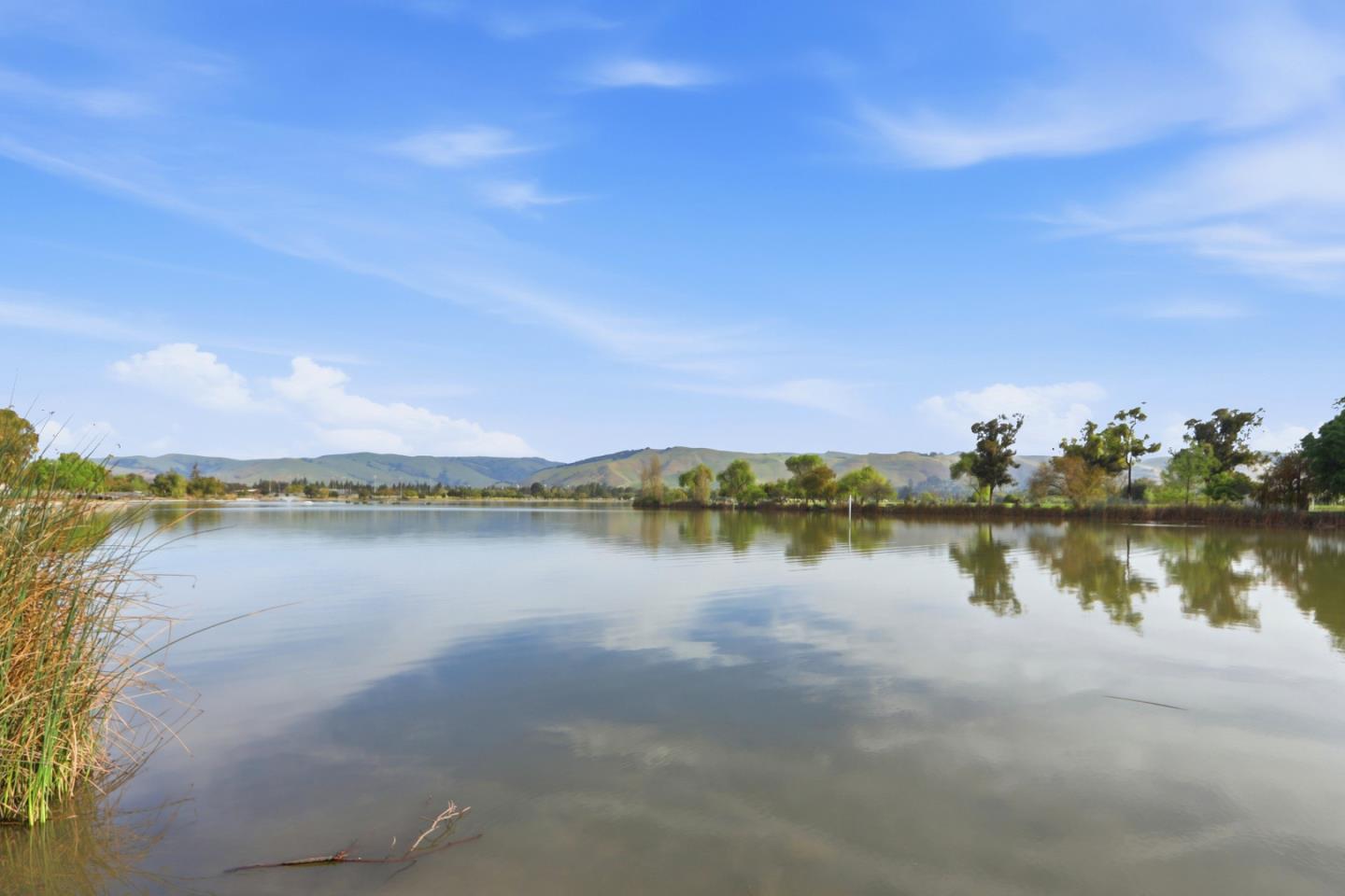 Detail Gallery Image 67 of 67 For 1007 Vardin Ter, Fremont,  CA 94536 - 3 Beds | 2/1 Baths