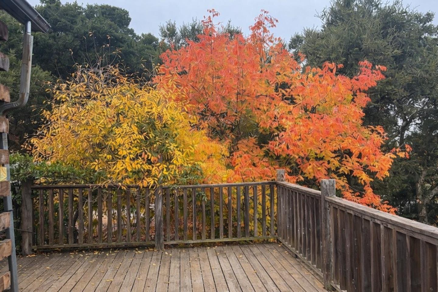 Detail Gallery Image 6 of 19 For 4101 San Juan Canyon Rd, San Juan Bautista,  CA 95045 - 3 Beds | 2 Baths