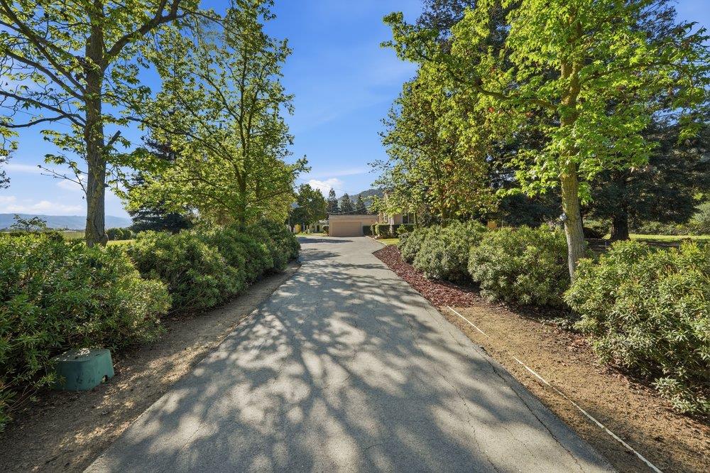 Detail Gallery Image 3 of 47 For 390 Kalana Ave, Morgan Hill,  CA 95037 - 3 Beds | 2 Baths