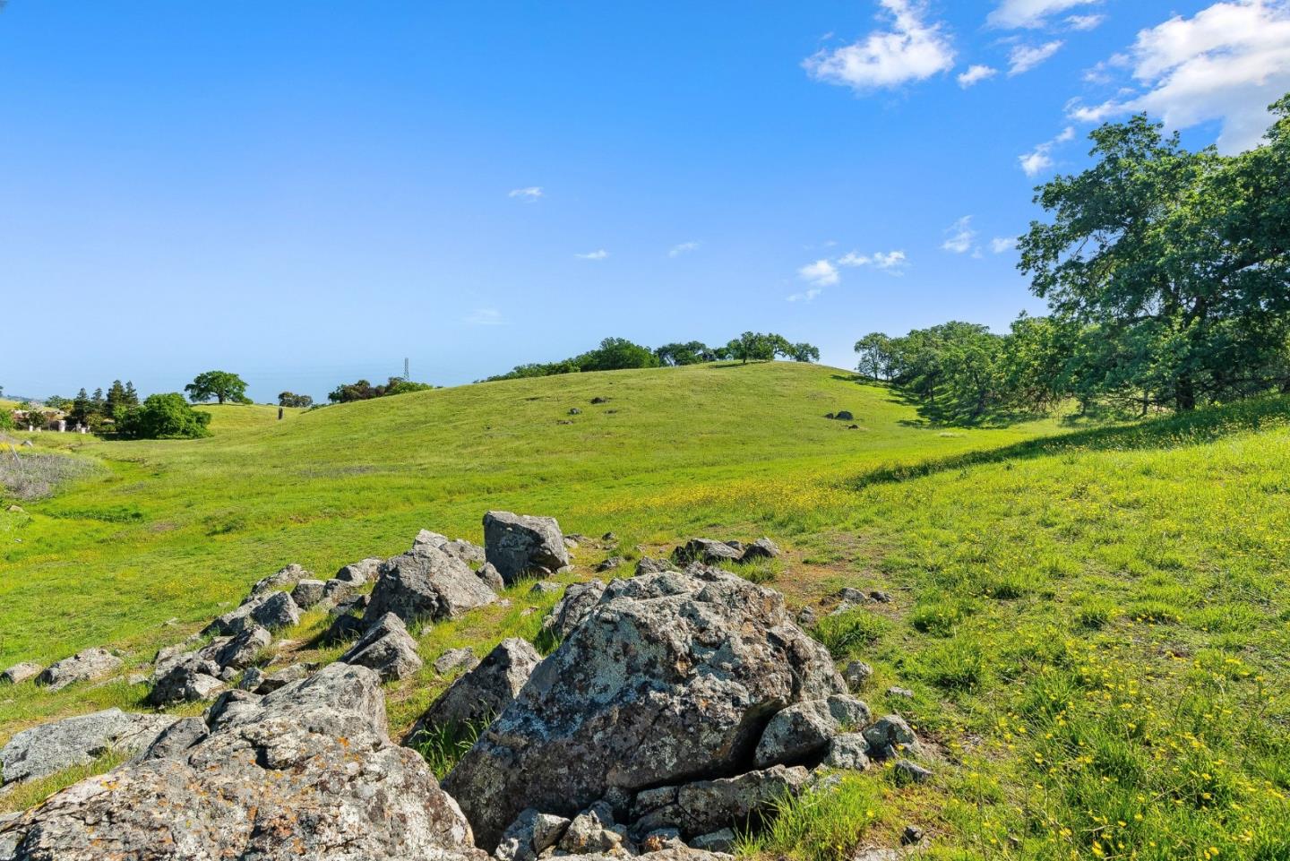 Detail Gallery Image 11 of 18 For 0 W San Martin Ave, San Martin,  CA 95046 - – Beds | – Baths