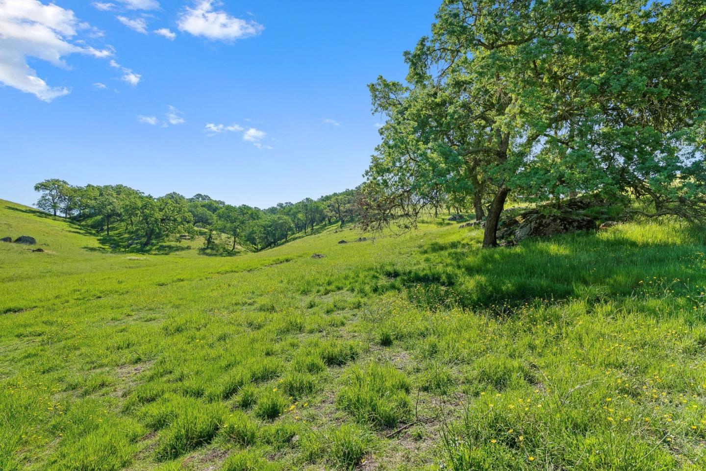 Detail Gallery Image 12 of 18 For 0 W San Martin Ave, San Martin,  CA 95046 - – Beds | – Baths