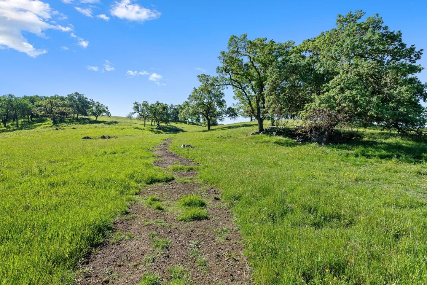 Detail Gallery Image 13 of 18 For 0 W San Martin Ave, San Martin,  CA 95046 - – Beds | – Baths