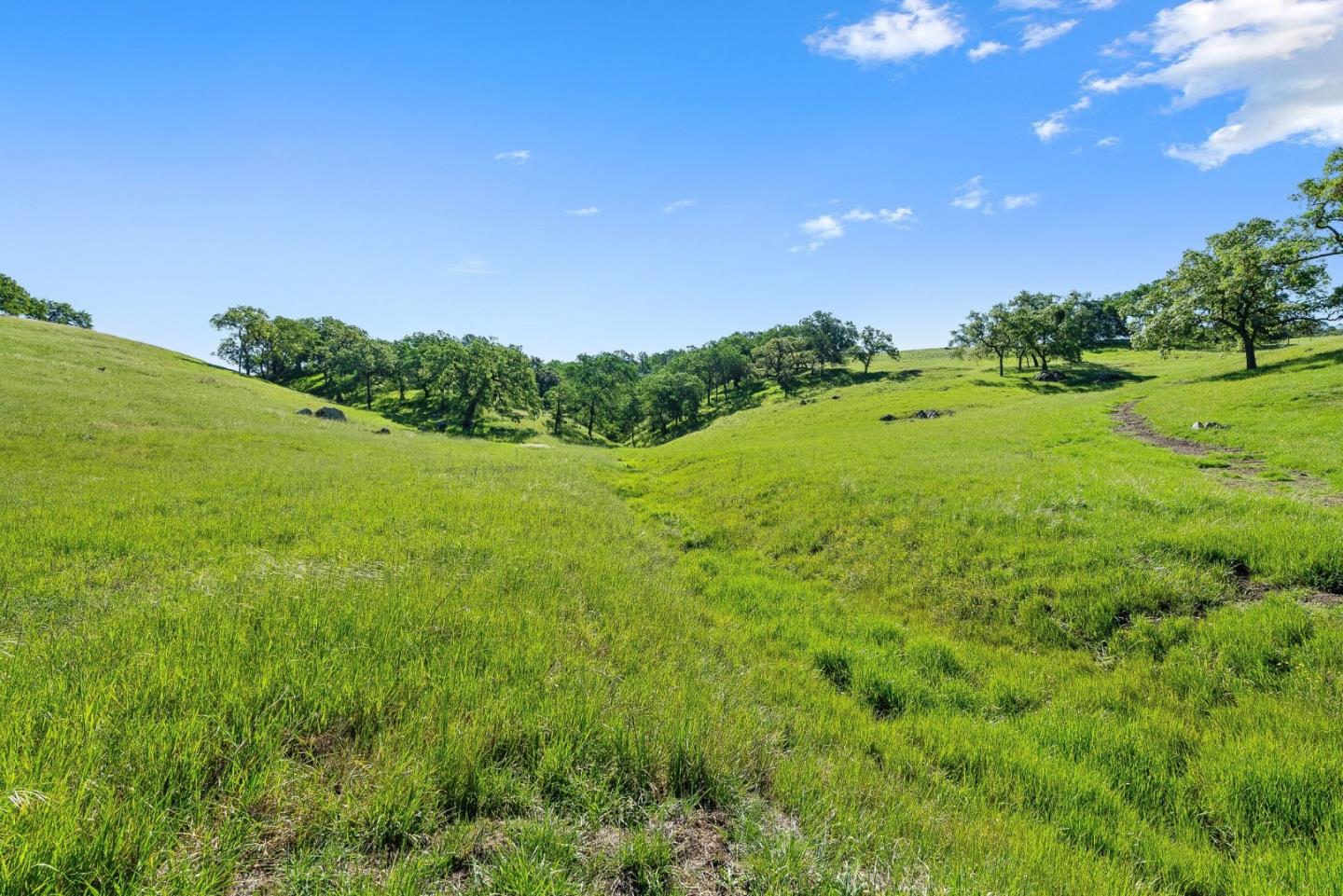 Detail Gallery Image 4 of 18 For 0 W San Martin Ave, San Martin,  CA 95046 - – Beds | – Baths