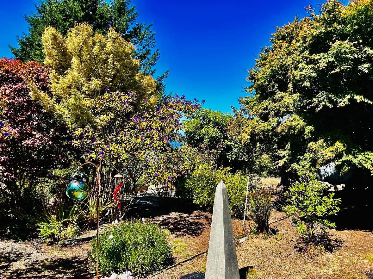 Detail Gallery Image 16 of 24 For 520 Redwood Rd, Whitethorn,  CA 95589 - 3 Beds | 2 Baths