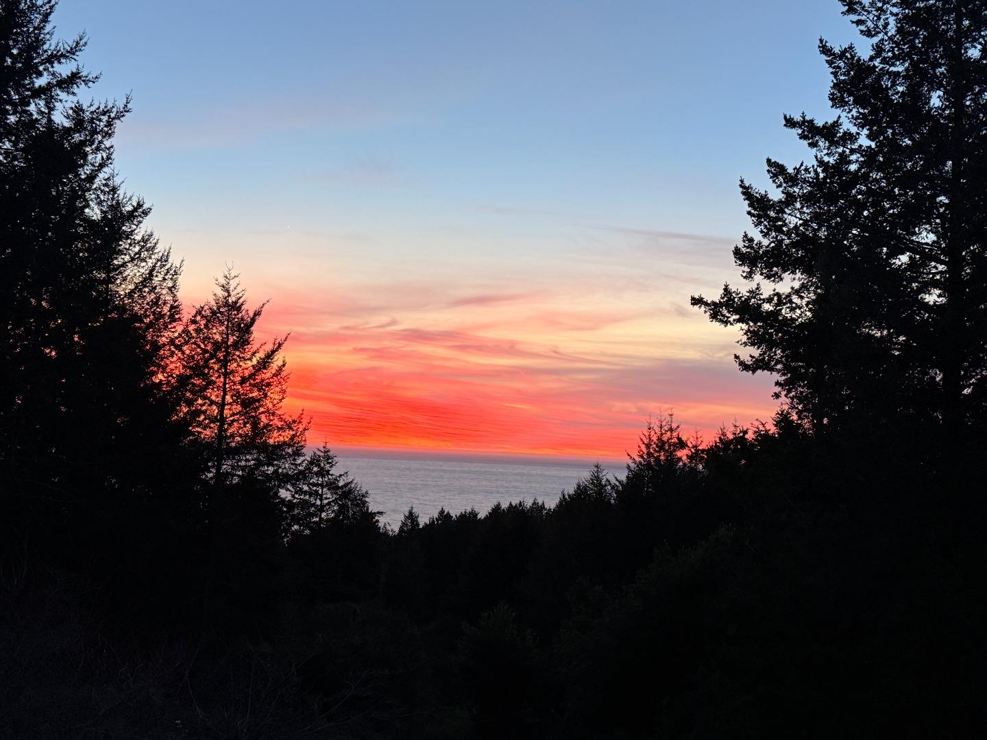 Detail Gallery Image 2 of 24 For 520 Redwood Rd, Whitethorn,  CA 95589 - 3 Beds | 2 Baths