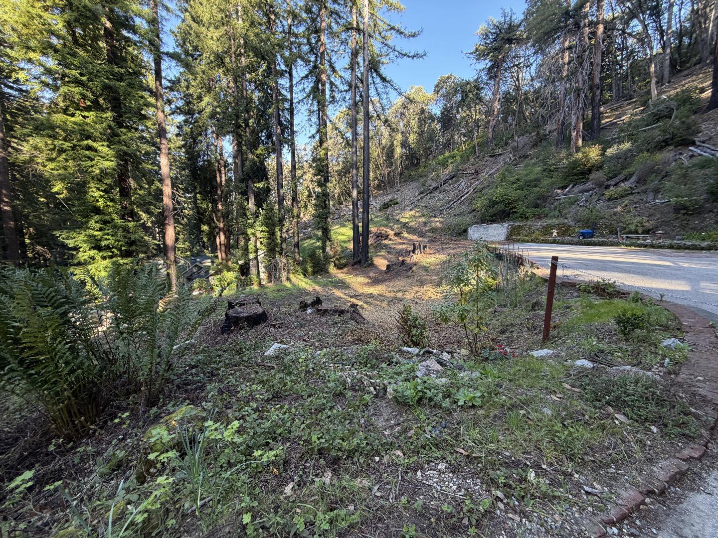 Detail Gallery Image 9 of 10 For 535 Burnside Bnd, Boulder Creek,  CA 95006 - – Beds | – Baths