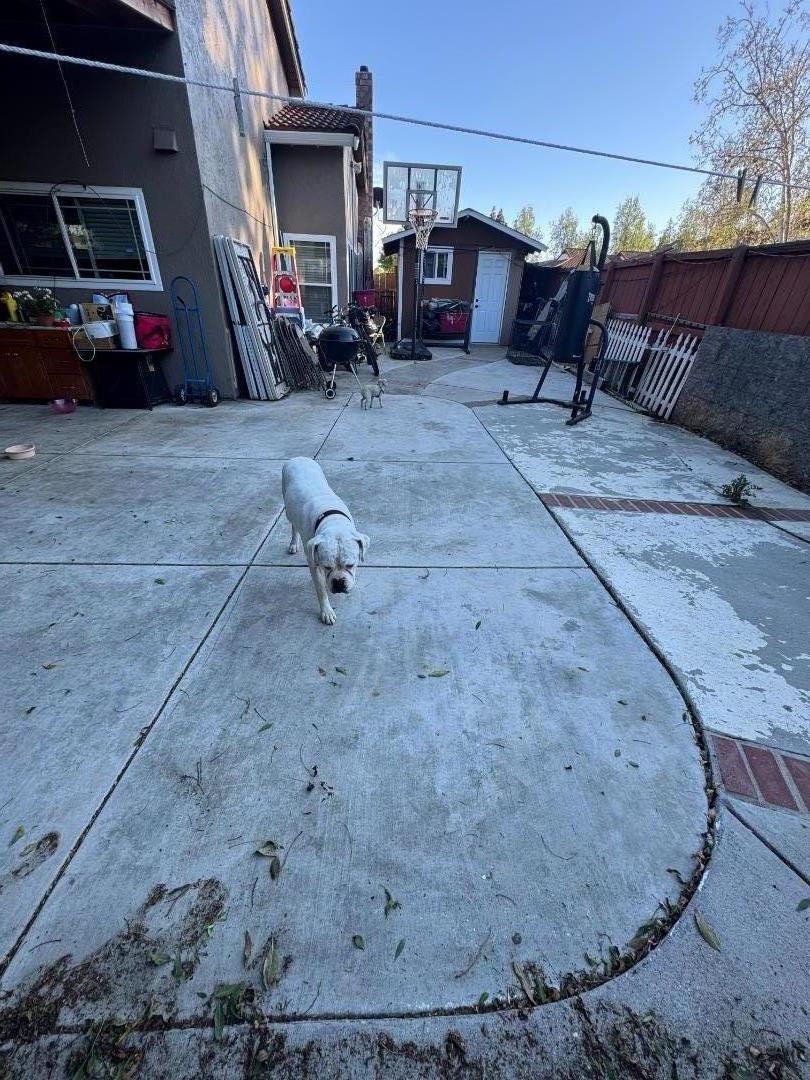 Detail Gallery Image 17 of 17 For Address Not Disclosed, San Jose,  CA 95148 - 4 Beds | 2 Baths