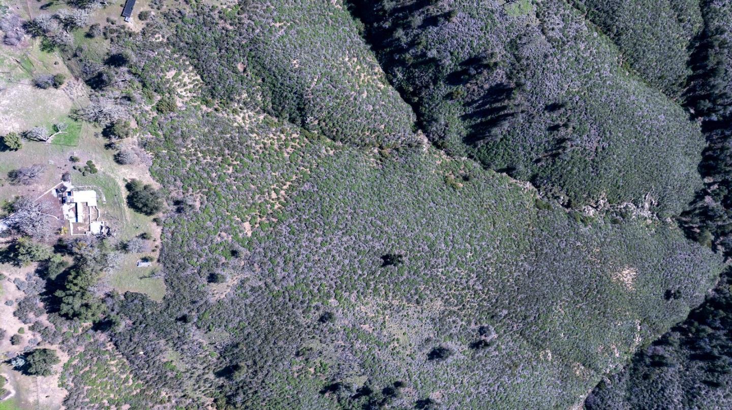 Detail Gallery Image 18 of 36 For 34994 Sky Ranch Rd, Carmel Valley,  CA 93924 - – Beds | – Baths