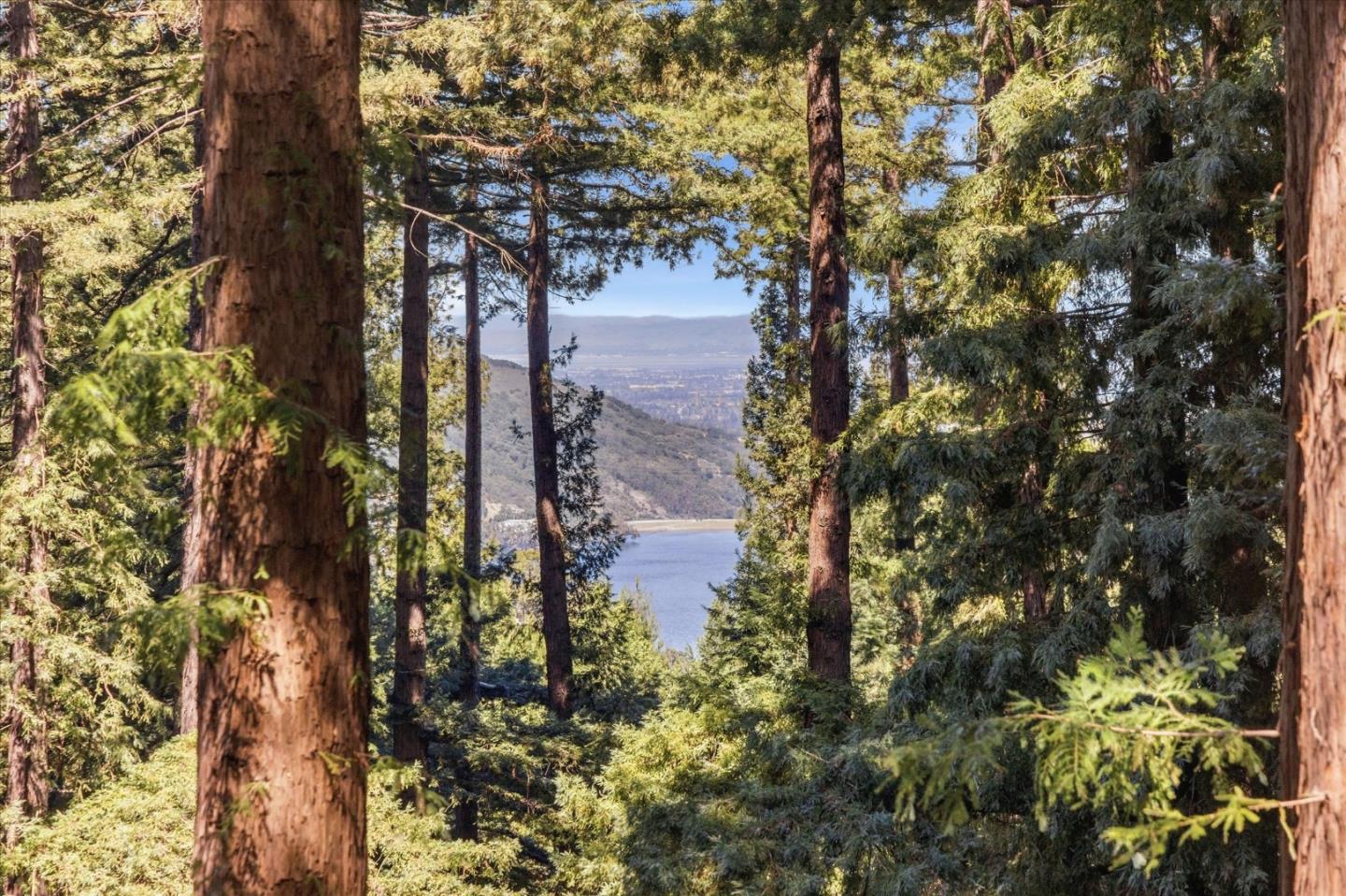 Detail Gallery Image 6 of 57 For 18081 Redwood Dr, Los Gatos,  CA 95033 - 2 Beds | 1/1 Baths