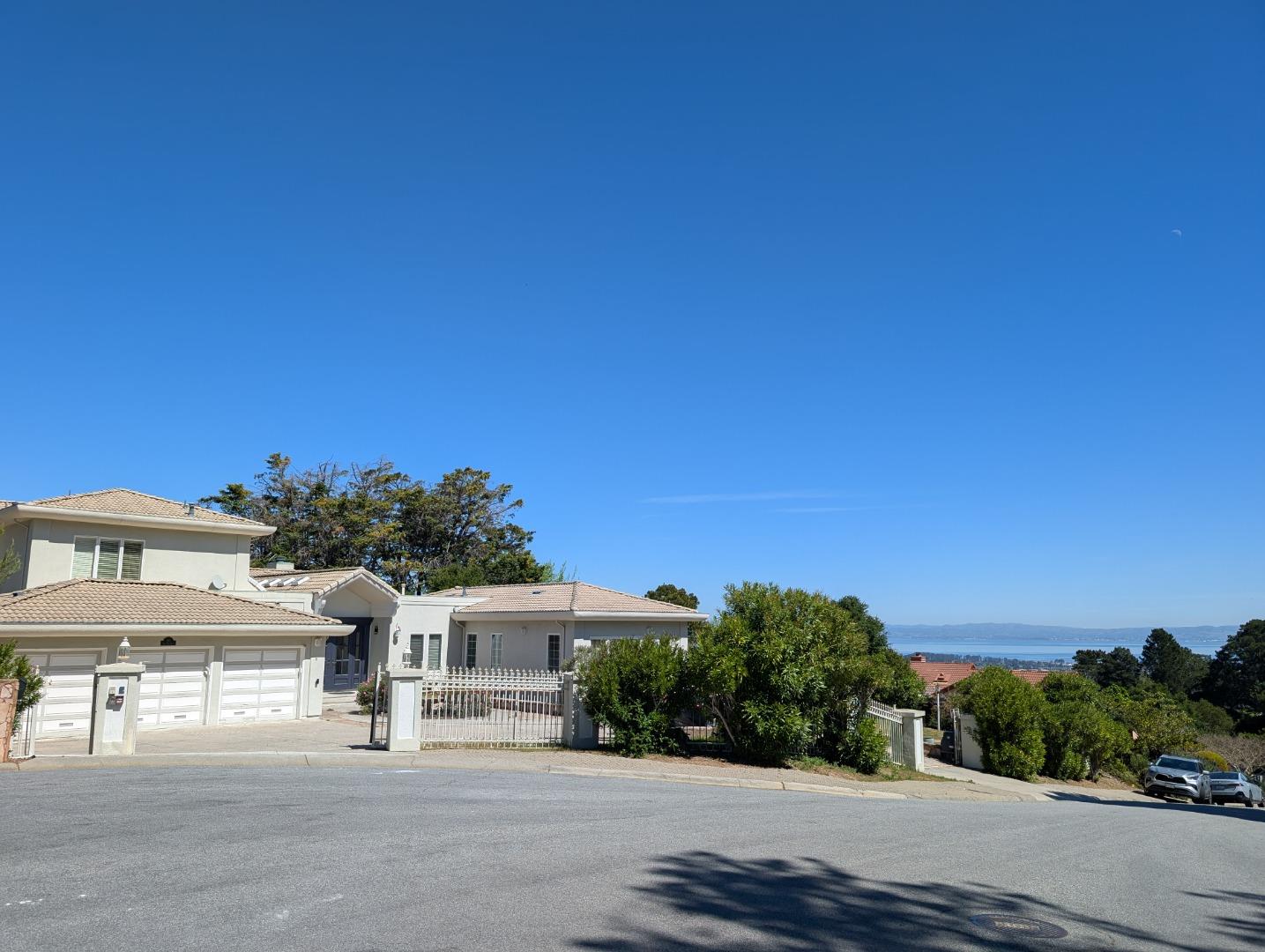 20 Silk Tree Place, Hillsborough, CA, 94010