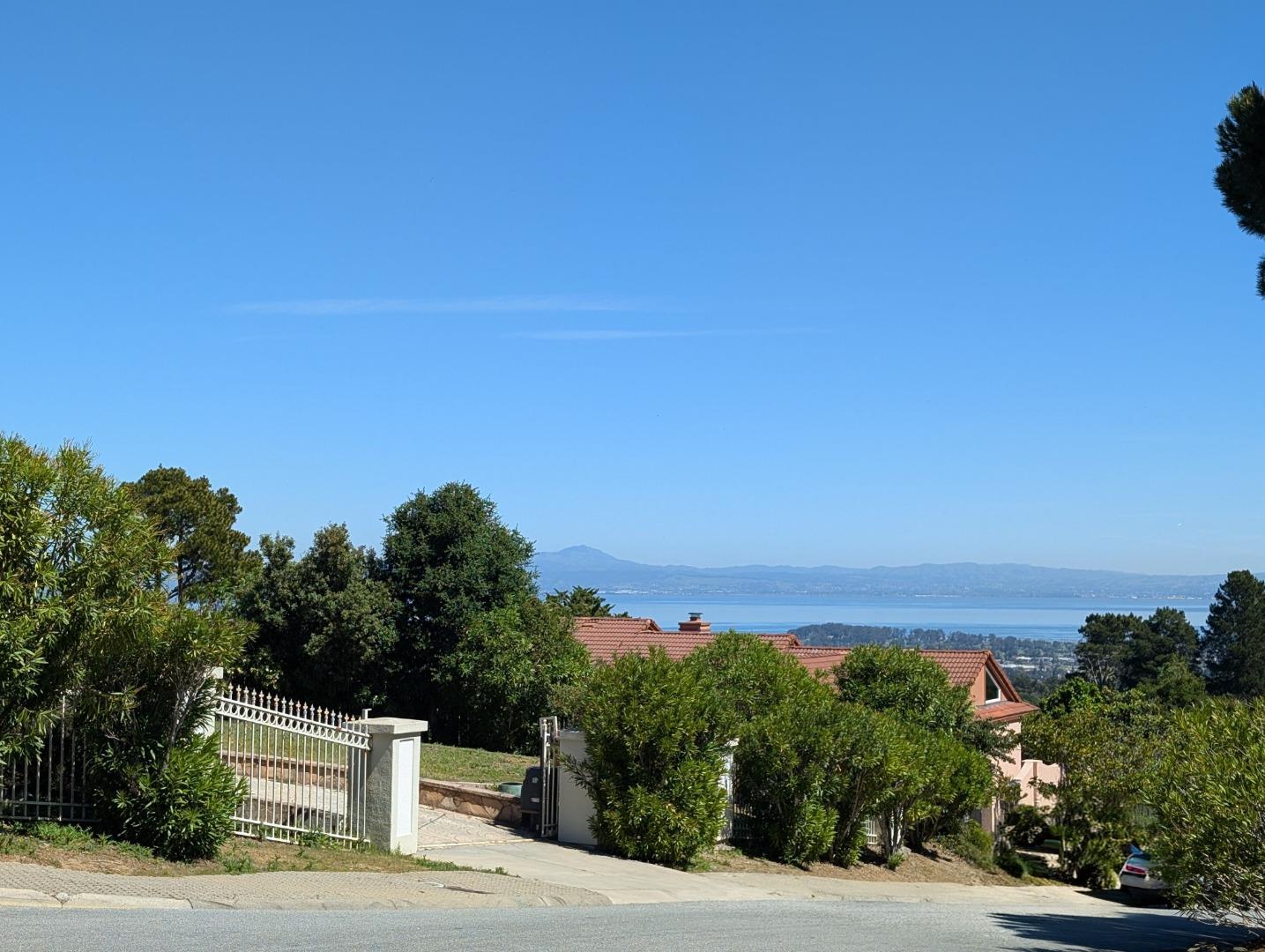 20 Silk Tree Place, Hillsborough, CA, 94010