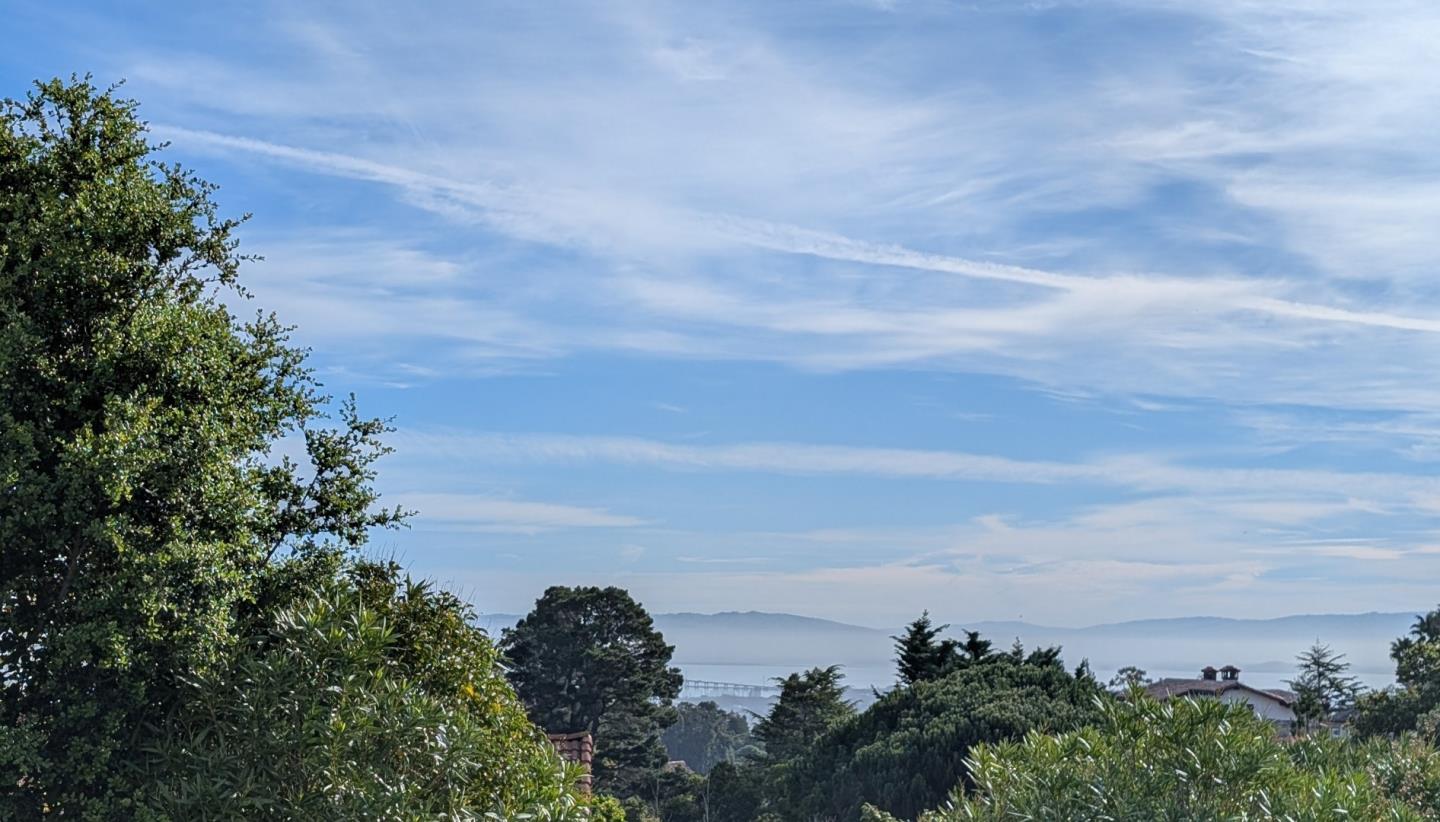 20 Silk Tree Place, Hillsborough, CA, 94010