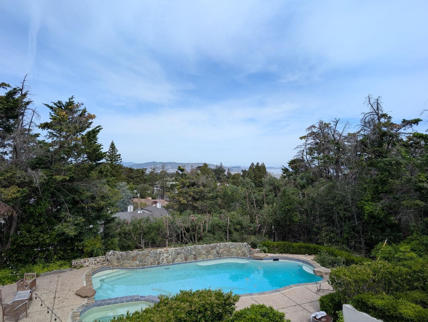 20 Silk Tree Place, Hillsborough, CA, 94010