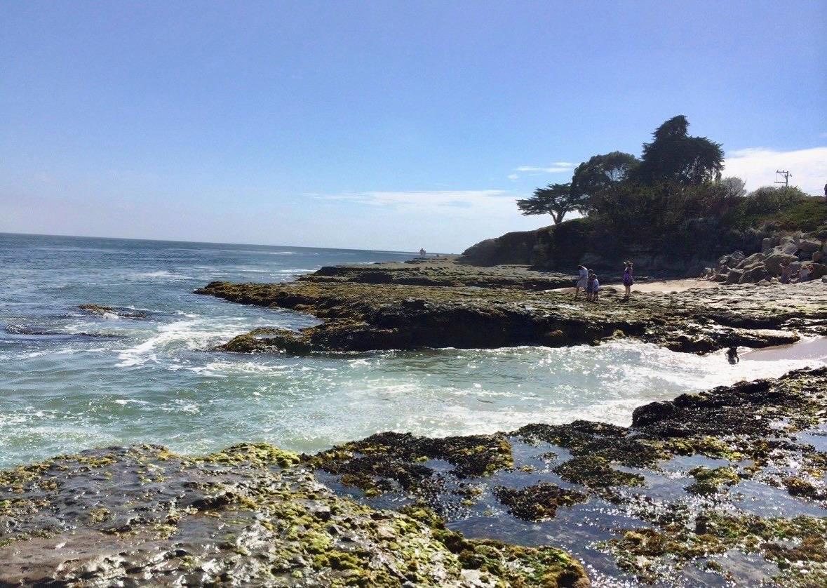 Detail Gallery Image 35 of 42 For 234 Plateau Ave, Santa Cruz,  CA 95060 - 4 Beds | 3 Baths