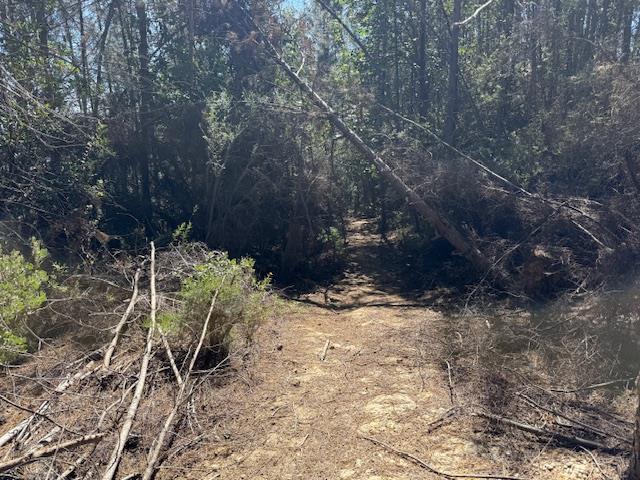 Detail Gallery Image 13 of 39 For 790040 Croy Rd, Morgan Hill,  CA 95037 - – Beds | – Baths