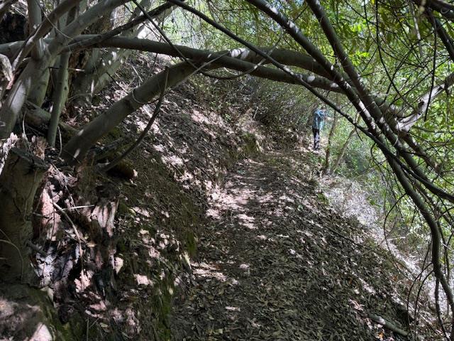 Detail Gallery Image 17 of 39 For 790040 Croy Rd, Morgan Hill,  CA 95037 - – Beds | – Baths