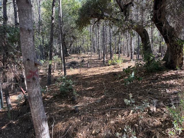 Detail Gallery Image 23 of 39 For 790040 Croy Rd, Morgan Hill,  CA 95037 - – Beds | – Baths