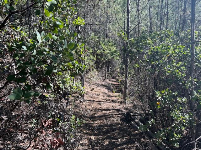 Detail Gallery Image 29 of 39 For 790040 Croy Rd, Morgan Hill,  CA 95037 - – Beds | – Baths