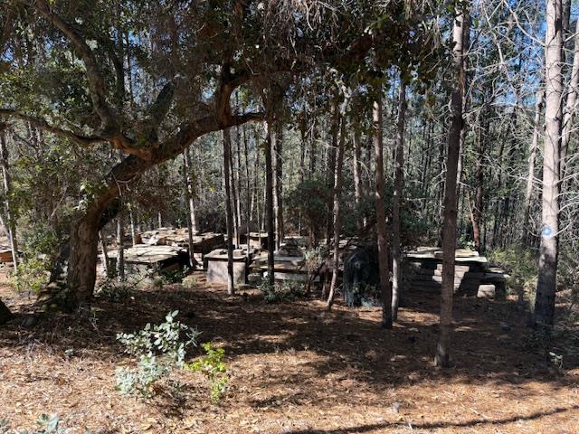 Detail Gallery Image 32 of 39 For 790040 Croy Rd, Morgan Hill,  CA 95037 - – Beds | – Baths