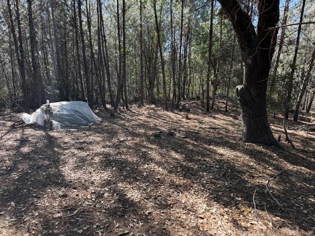 Detail Gallery Image 35 of 39 For 790040 Croy Rd, Morgan Hill,  CA 95037 - – Beds | – Baths