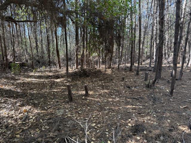 Detail Gallery Image 36 of 39 For 790040 Croy Rd, Morgan Hill,  CA 95037 - – Beds | – Baths