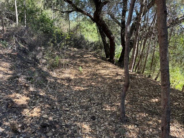 Detail Gallery Image 37 of 39 For 790040 Croy Rd, Morgan Hill,  CA 95037 - – Beds | – Baths