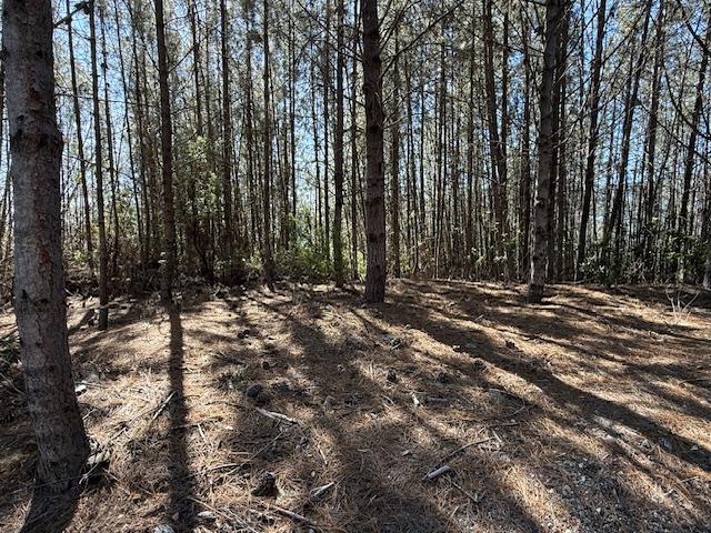 Detail Gallery Image 9 of 39 For 790040 Croy Rd, Morgan Hill,  CA 95037 - – Beds | – Baths