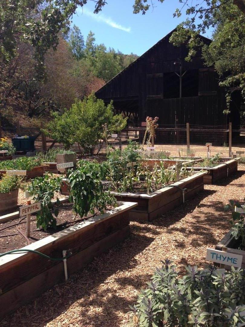 Detail Gallery Image 56 of 56 For 7577 Bollinger Rd, Cupertino,  CA 95014 - 4 Beds | 2 Baths