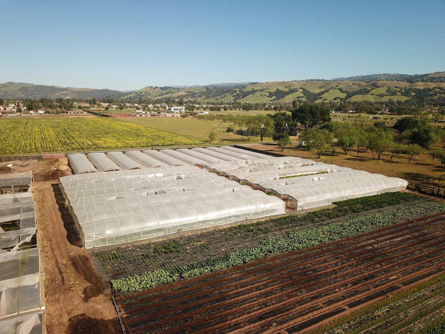 Detail Gallery Image 11 of 18 For 1600 Barrett Ave, Morgan Hill,  CA 95037 - – Beds | – Baths