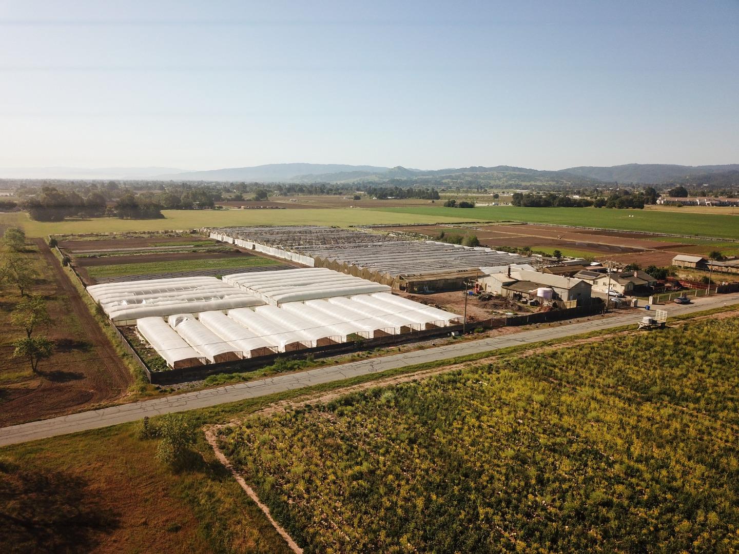 Detail Gallery Image 12 of 18 For 1600 Barrett Ave, Morgan Hill,  CA 95037 - – Beds | – Baths