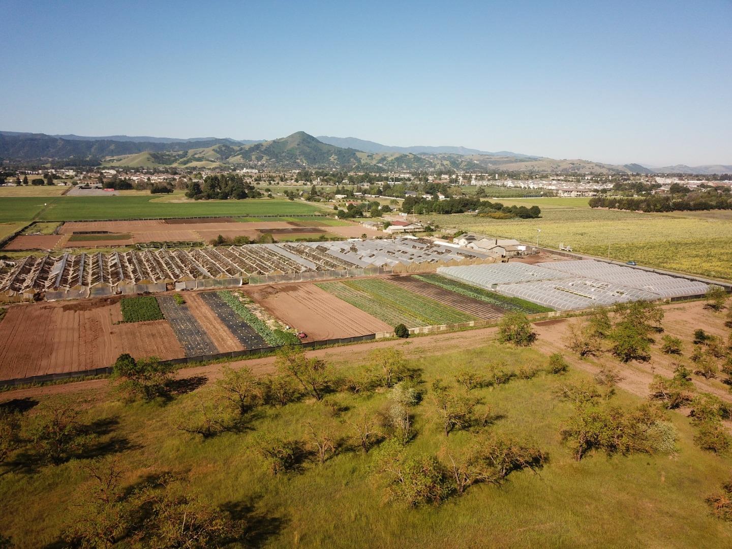 Detail Gallery Image 13 of 18 For 1600 Barrett Ave, Morgan Hill,  CA 95037 - – Beds | – Baths