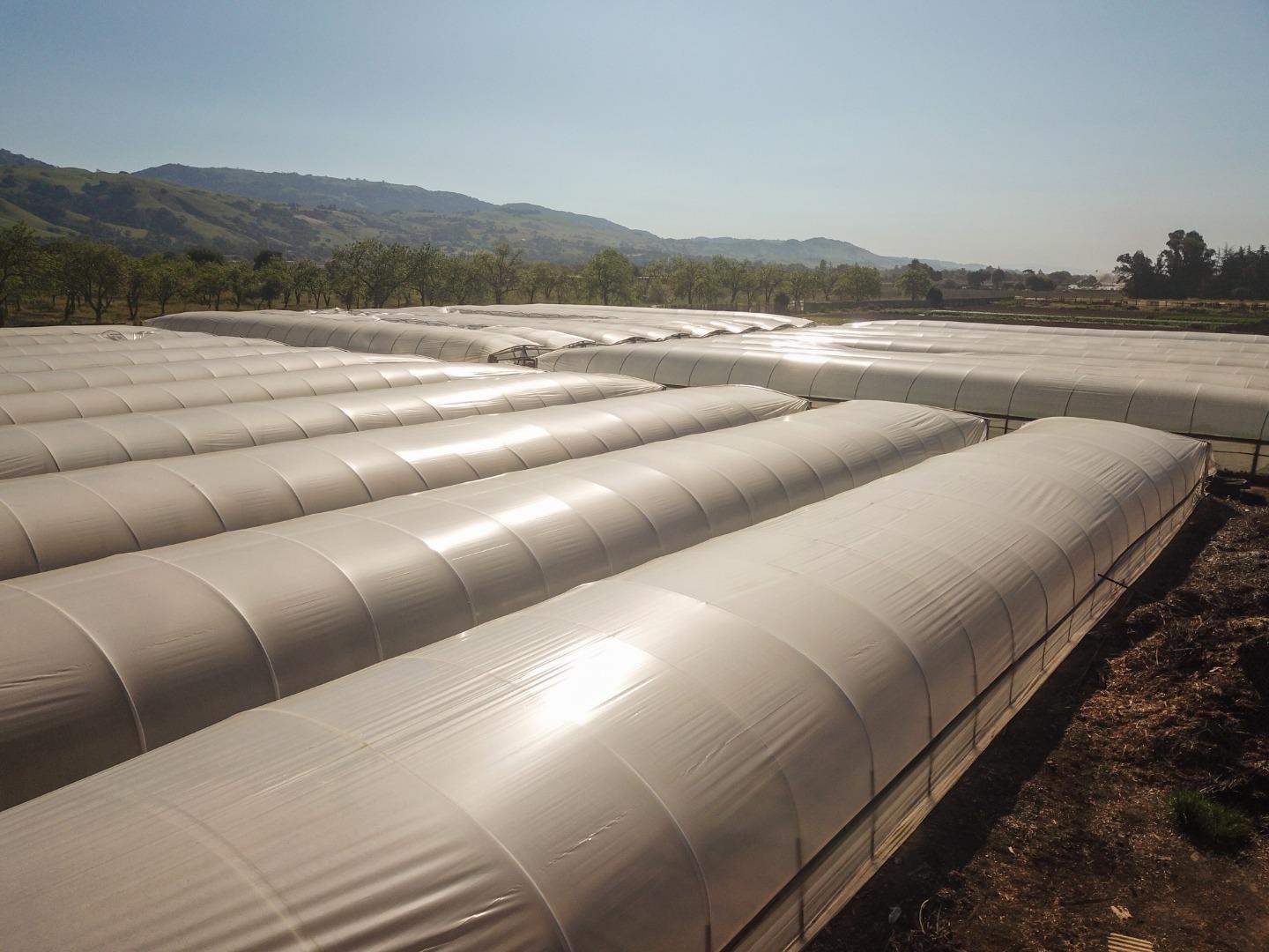 Detail Gallery Image 17 of 18 For 1600 Barrett Ave, Morgan Hill,  CA 95037 - – Beds | – Baths