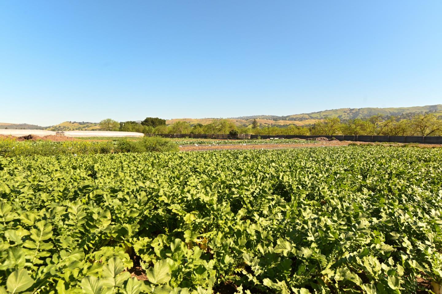 Detail Gallery Image 18 of 18 For 1600 Barrett Ave, Morgan Hill,  CA 95037 - – Beds | – Baths