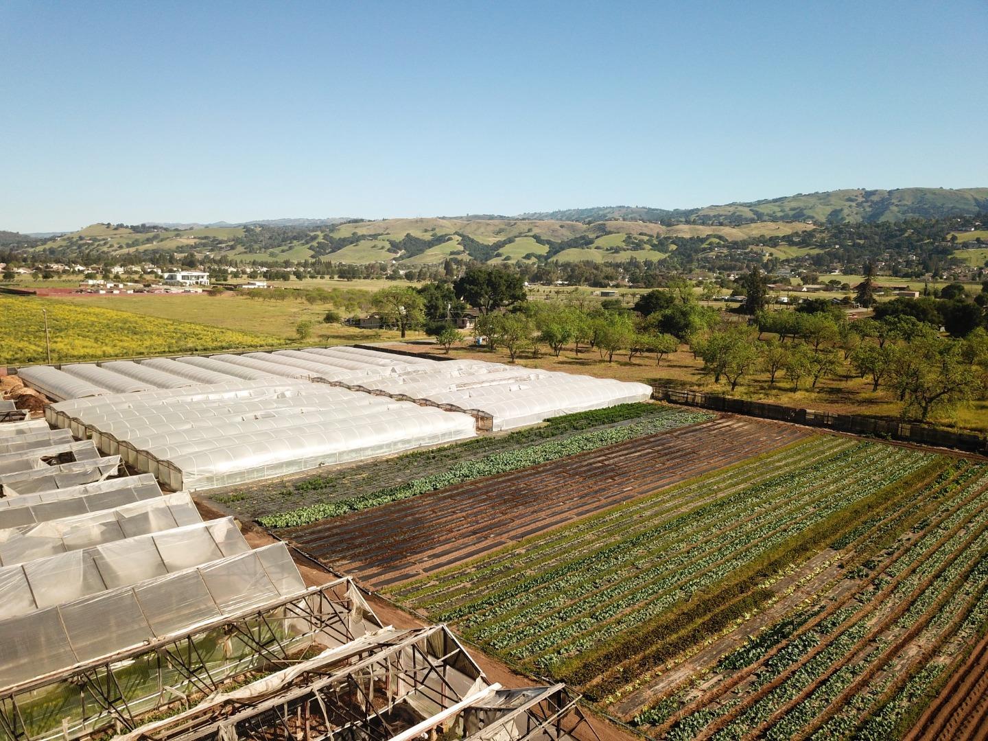 Detail Gallery Image 7 of 18 For 1600 Barrett Ave, Morgan Hill,  CA 95037 - – Beds | – Baths