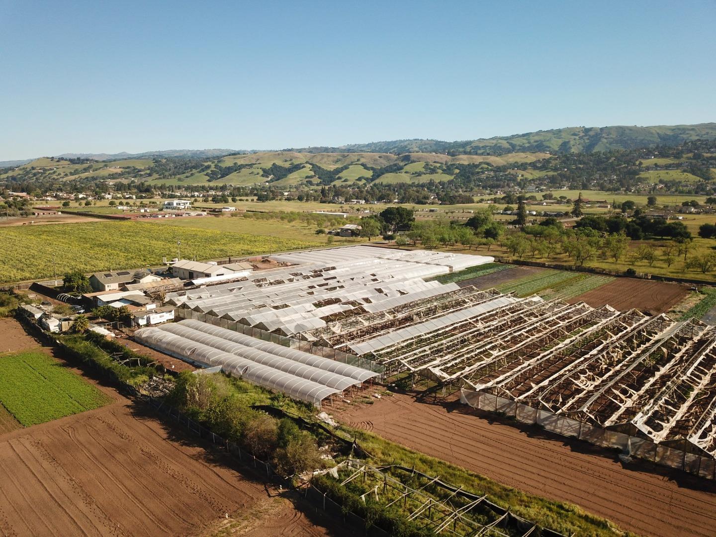 Detail Gallery Image 9 of 18 For 1600 Barrett Ave, Morgan Hill,  CA 95037 - – Beds | – Baths