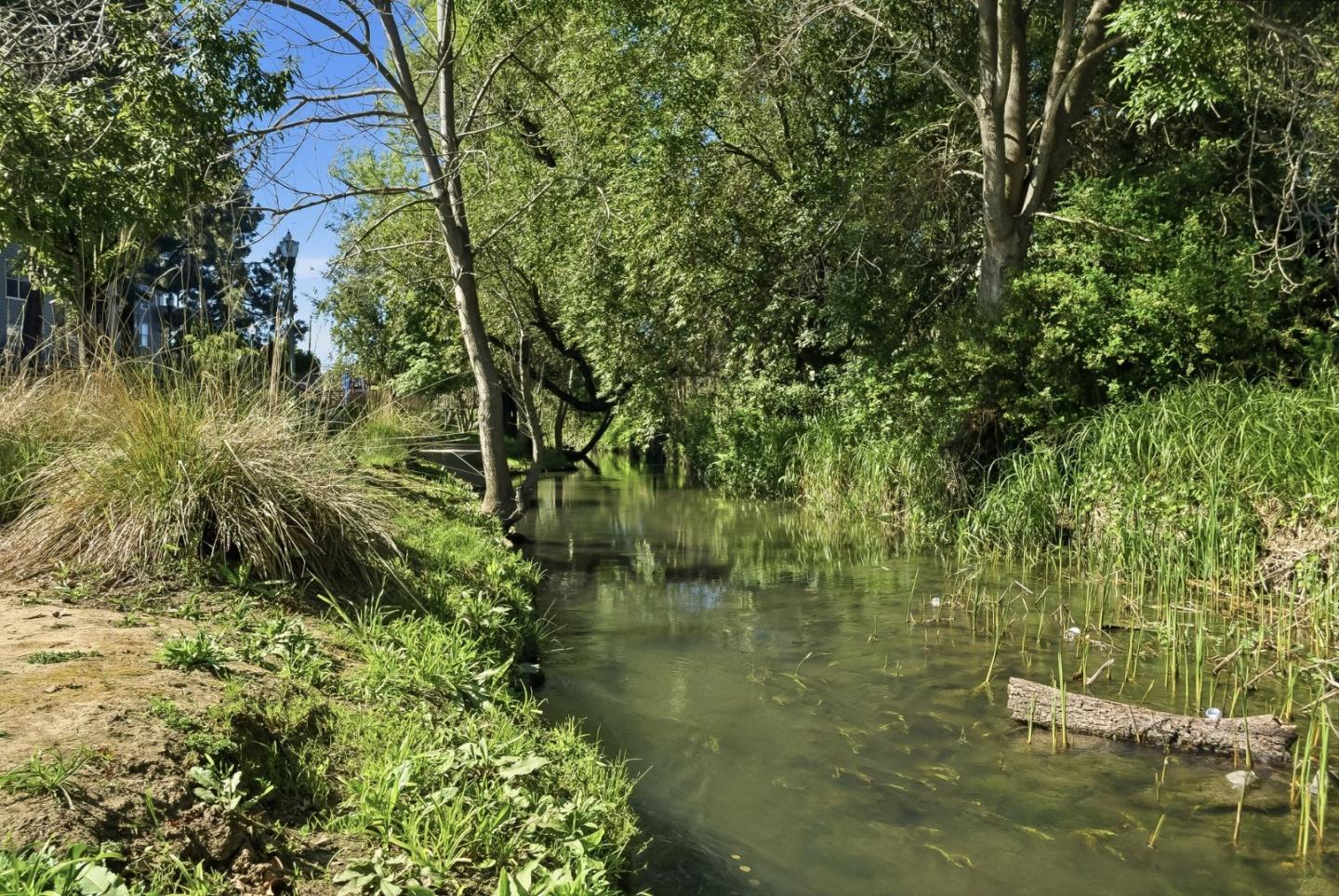 Photo #39: ML82039845 Listing: Photo #39