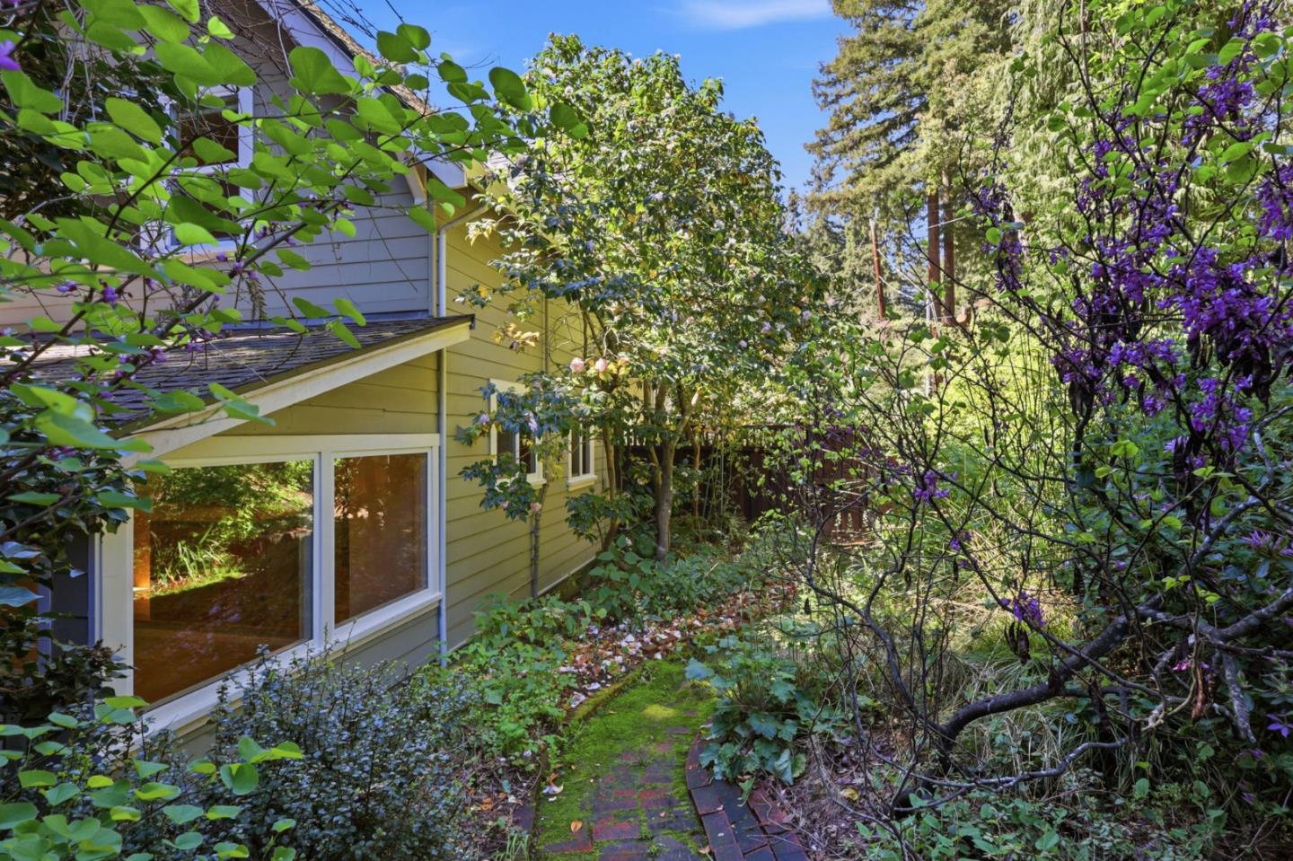 Detail Gallery Image 36 of 45 For 141 Monte Vista Ln, Boulder Creek,  CA 95006 - 3 Beds | 1/1 Baths