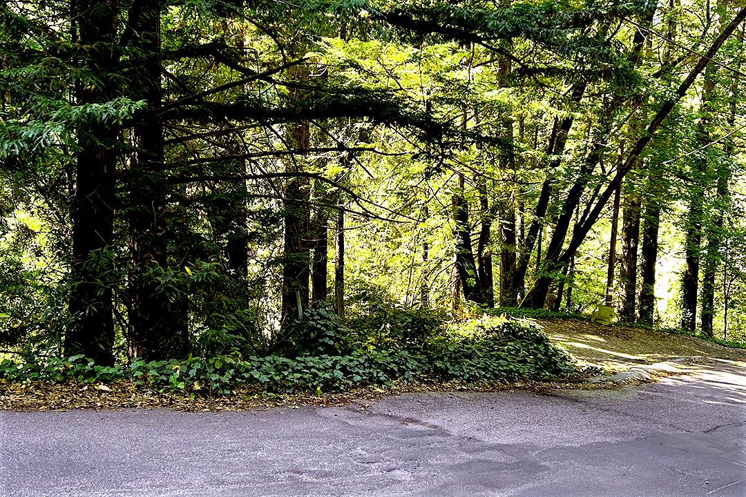 Detail Gallery Image 4 of 9 For 0 Riverside Rd, Brookdale,  CA 95007 - – Beds | – Baths