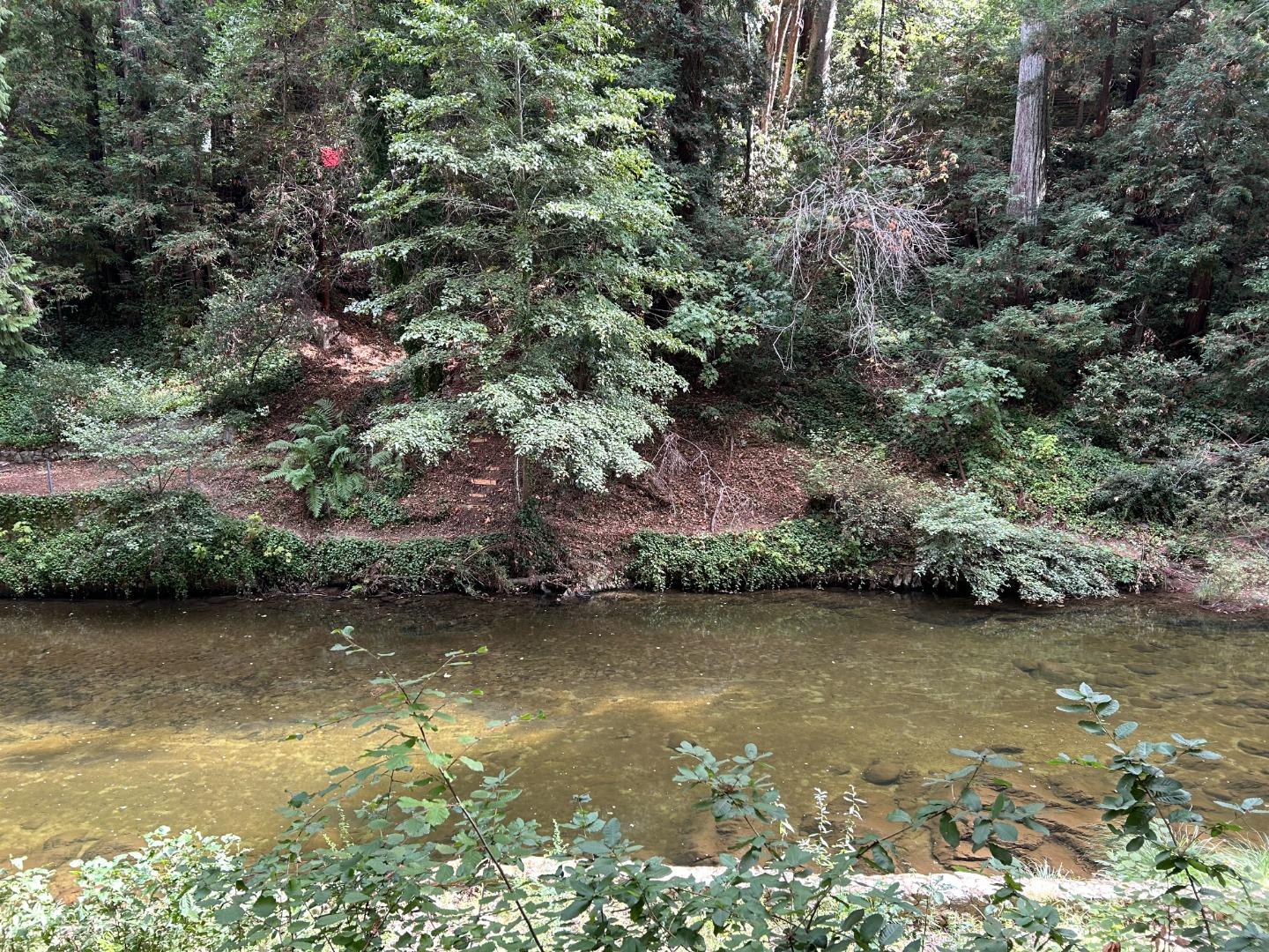 Detail Gallery Image 5 of 9 For 0 Riverside Rd, Brookdale,  CA 95007 - – Beds | – Baths