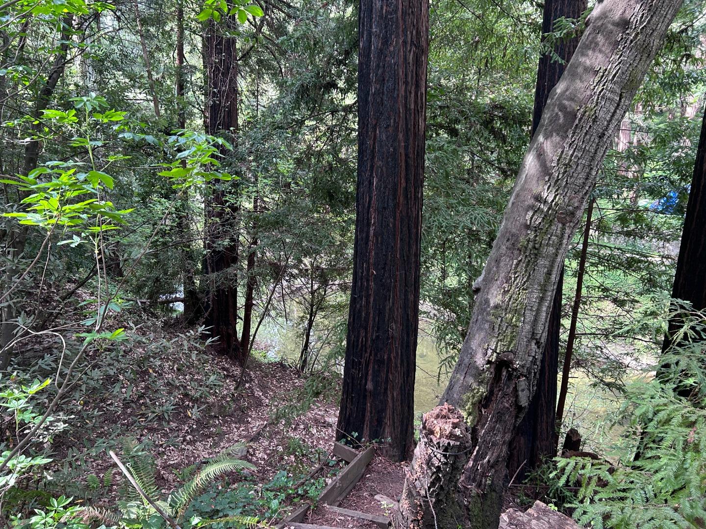 Detail Gallery Image 6 of 9 For 0 Riverside Rd, Brookdale,  CA 95007 - – Beds | – Baths