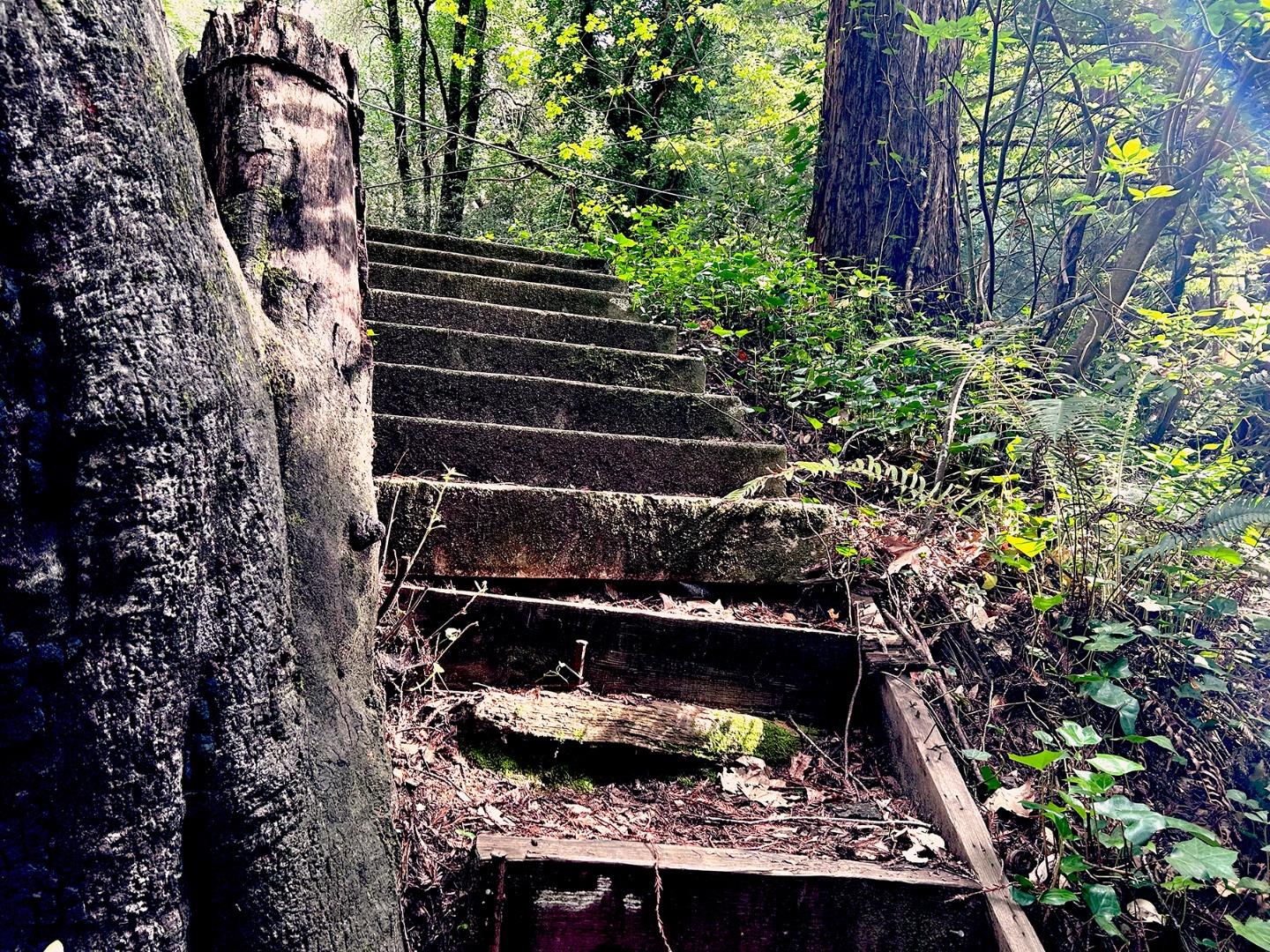 Detail Gallery Image 7 of 9 For 0 Riverside Rd, Brookdale,  CA 95007 - – Beds | – Baths