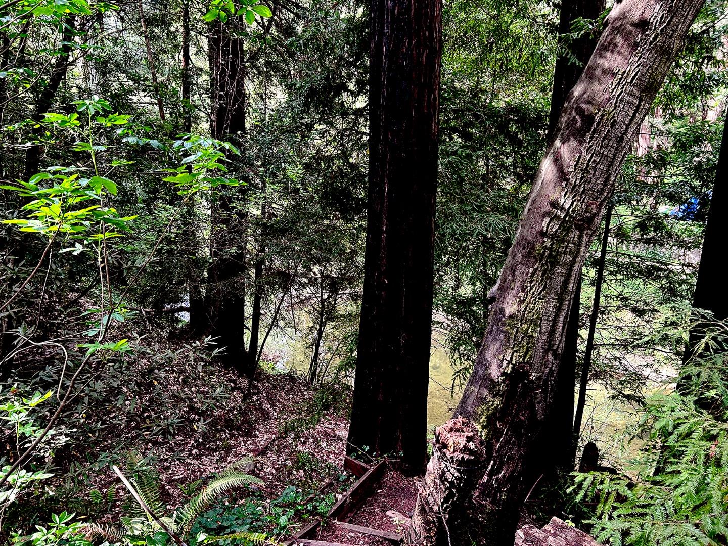 Detail Gallery Image 8 of 9 For 0 Riverside Rd, Brookdale,  CA 95007 - – Beds | – Baths