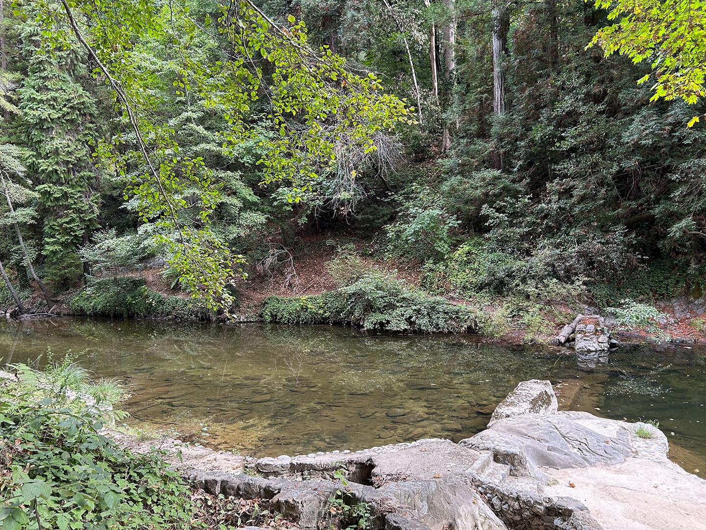 Detail Gallery Image 9 of 9 For 0 Riverside Rd, Brookdale,  CA 95007 - – Beds | – Baths