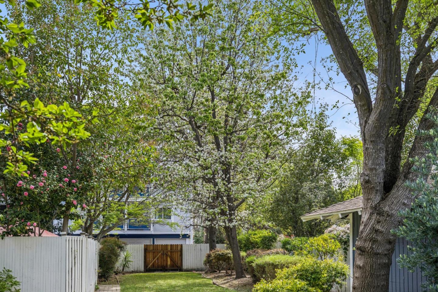 Photo #22: ML82039858 Listing: Photo #22