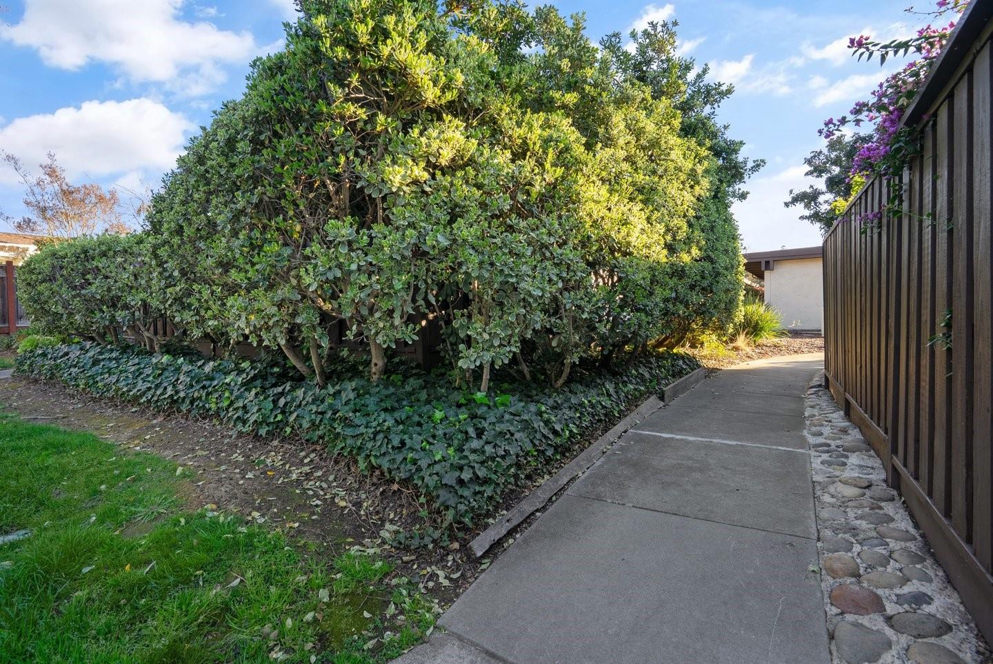 Photo #31: ML82039884 Listing: Photo #31