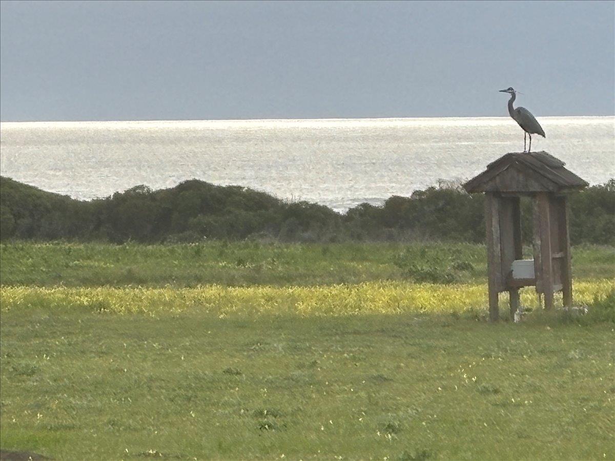 Detail Gallery Image 29 of 79 For 1263 Reservoir Rd, Pescadero,  CA 94060 - 3 Beds | 2 Baths