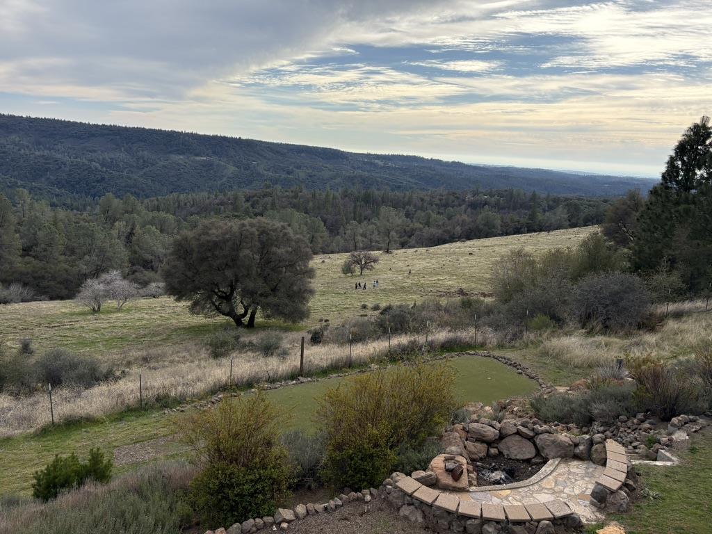 Detail Gallery Image 2 of 6 For 19670 Camino Del Aparicio, Fiddletown,  CA 95629 - – Beds | – Baths