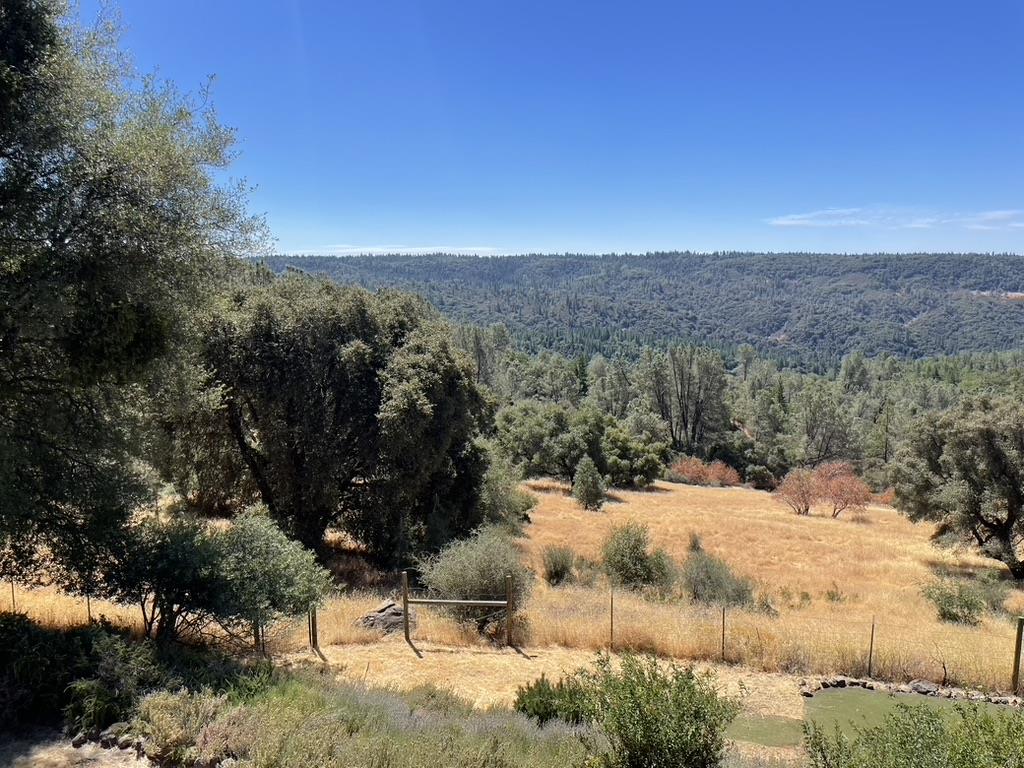 Detail Gallery Image 5 of 6 For 19670 Camino Del Aparicio, Fiddletown,  CA 95629 - – Beds | – Baths